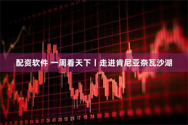 配资软件 一周看天下丨走进肯尼亚奈瓦沙湖