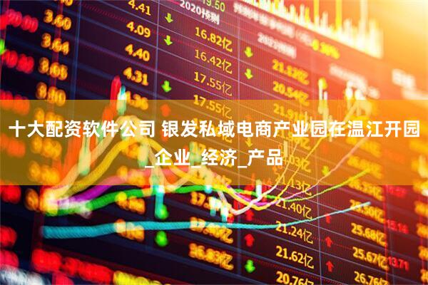 十大配资软件公司 银发私域电商产业园在温江开园_企业_经济_产品