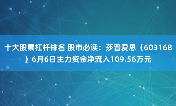 十大股票杠杆排名 股市必读：莎普爱思（603168）6月6日主力资金净流入109.56万元