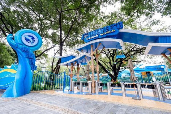 股市配资平台 一票通玩海陆空！广州海洋馆暑期活动来了