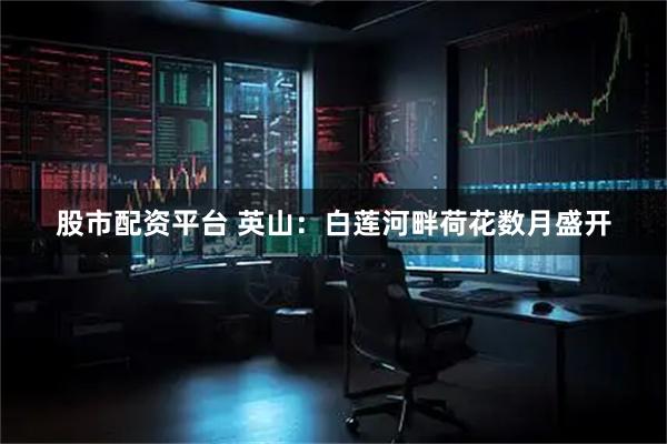 股市配资平台 英山：白莲河畔荷花数月盛开